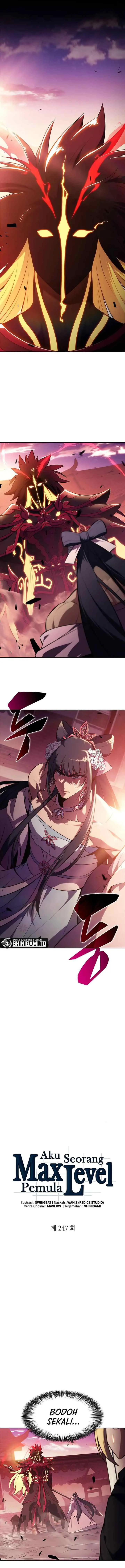 Solo Max-Level Newbie chapter 247 halaman 5
