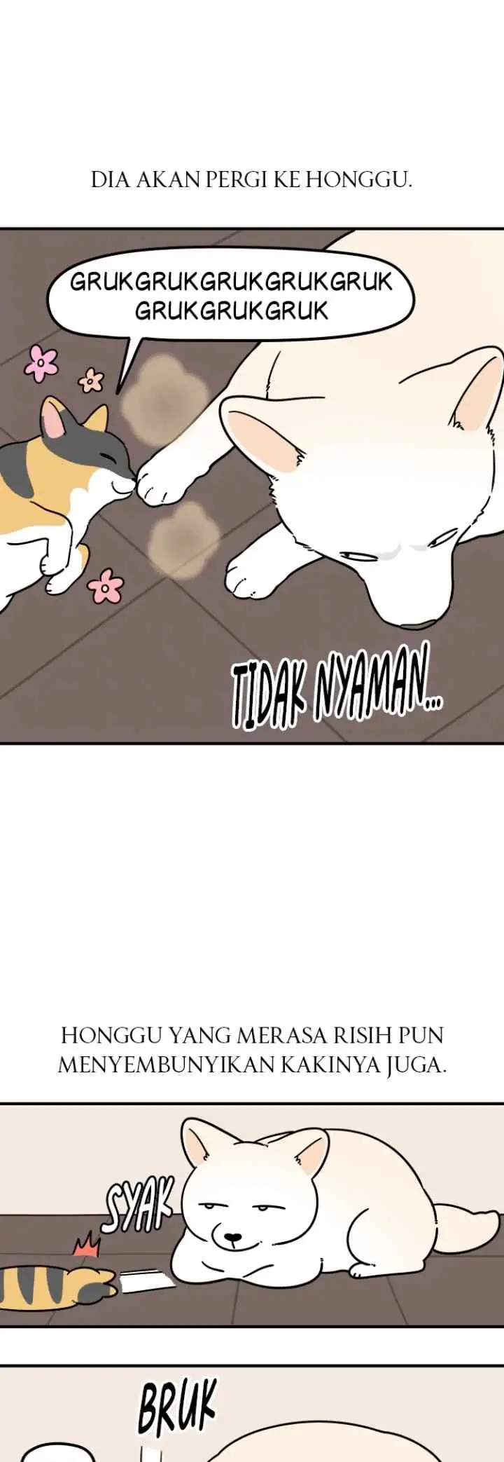 Tired Shorts chapter 42 halaman 5