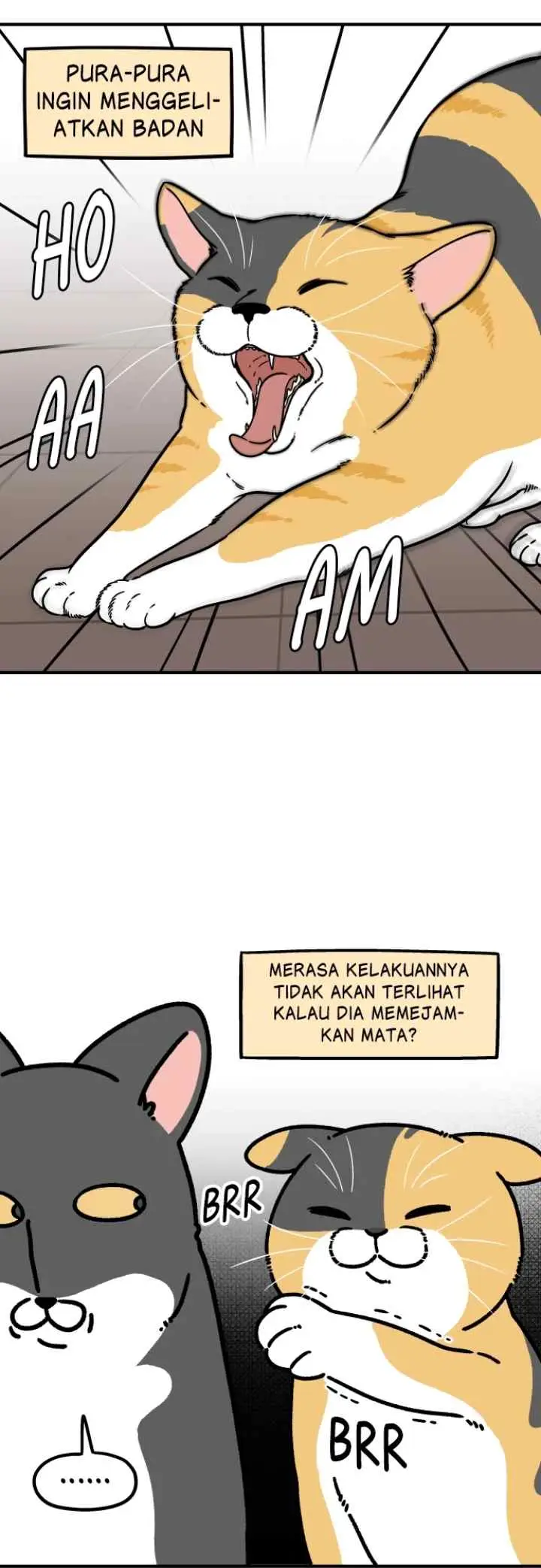 Tired Shorts chapter 54 halaman 11
