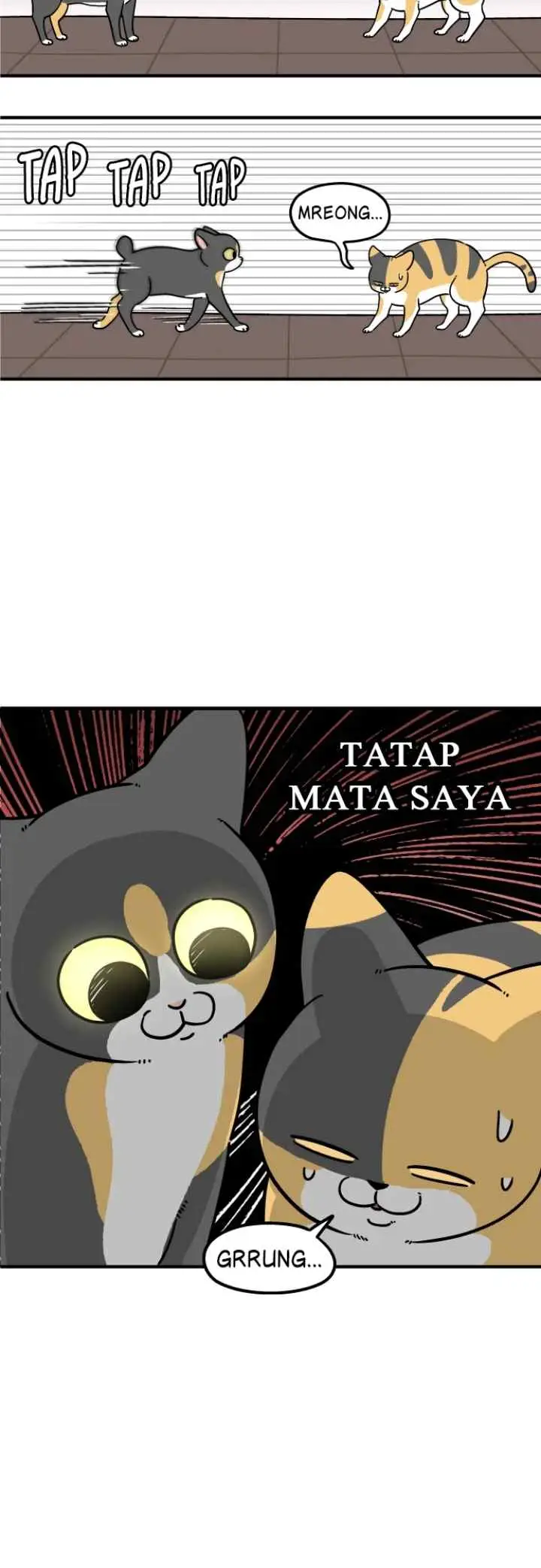 Tired Shorts chapter 28 halaman 10