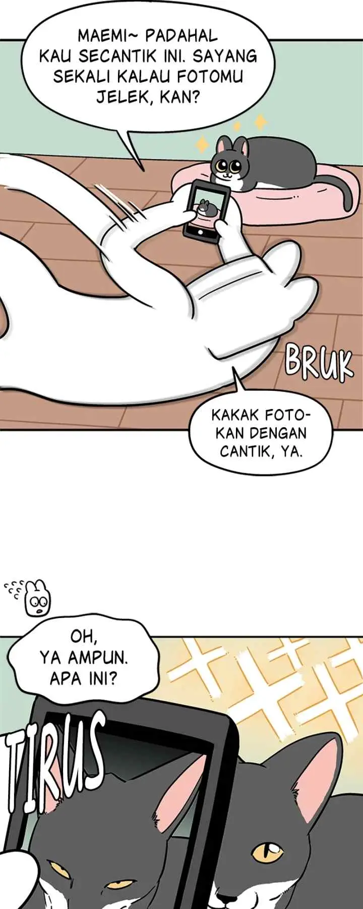Tired Shorts chapter 5 halaman 5
