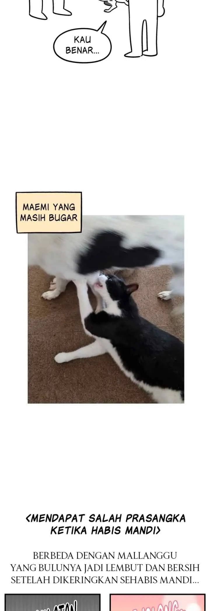 Tired Shorts chapter 26 halaman 6