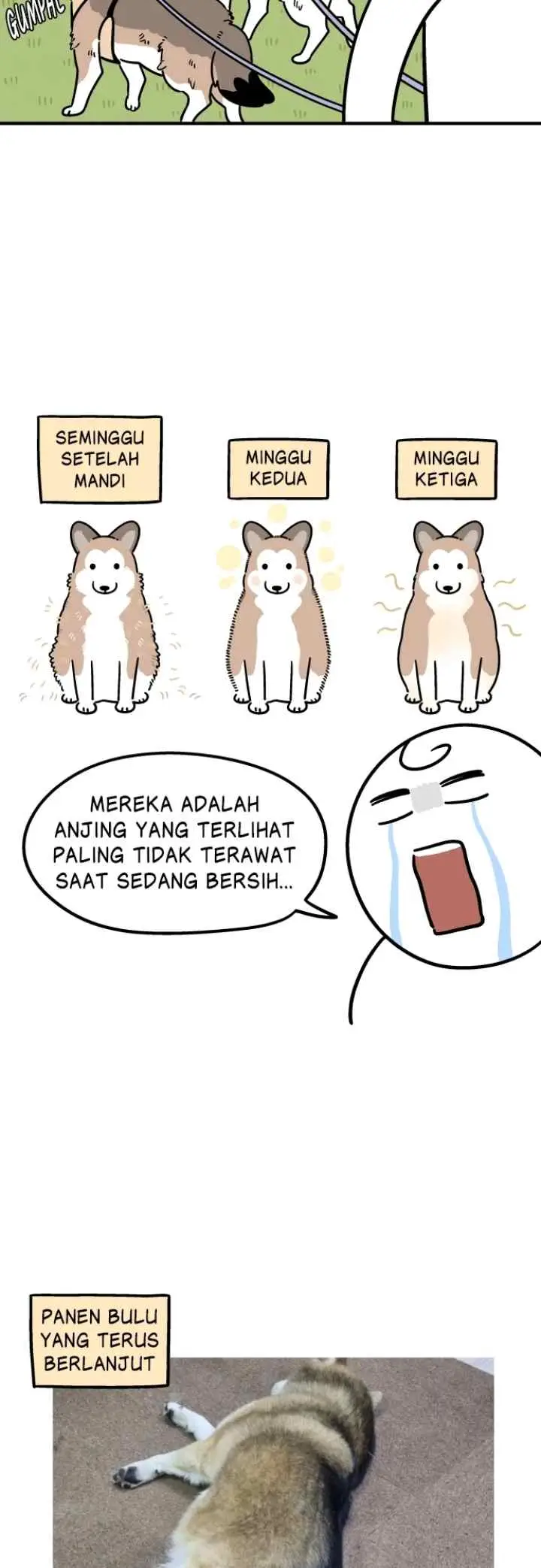 Tired Shorts chapter 26 halaman 9