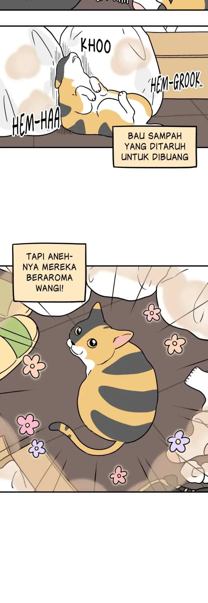 Tired Shorts chapter 42 halaman 10