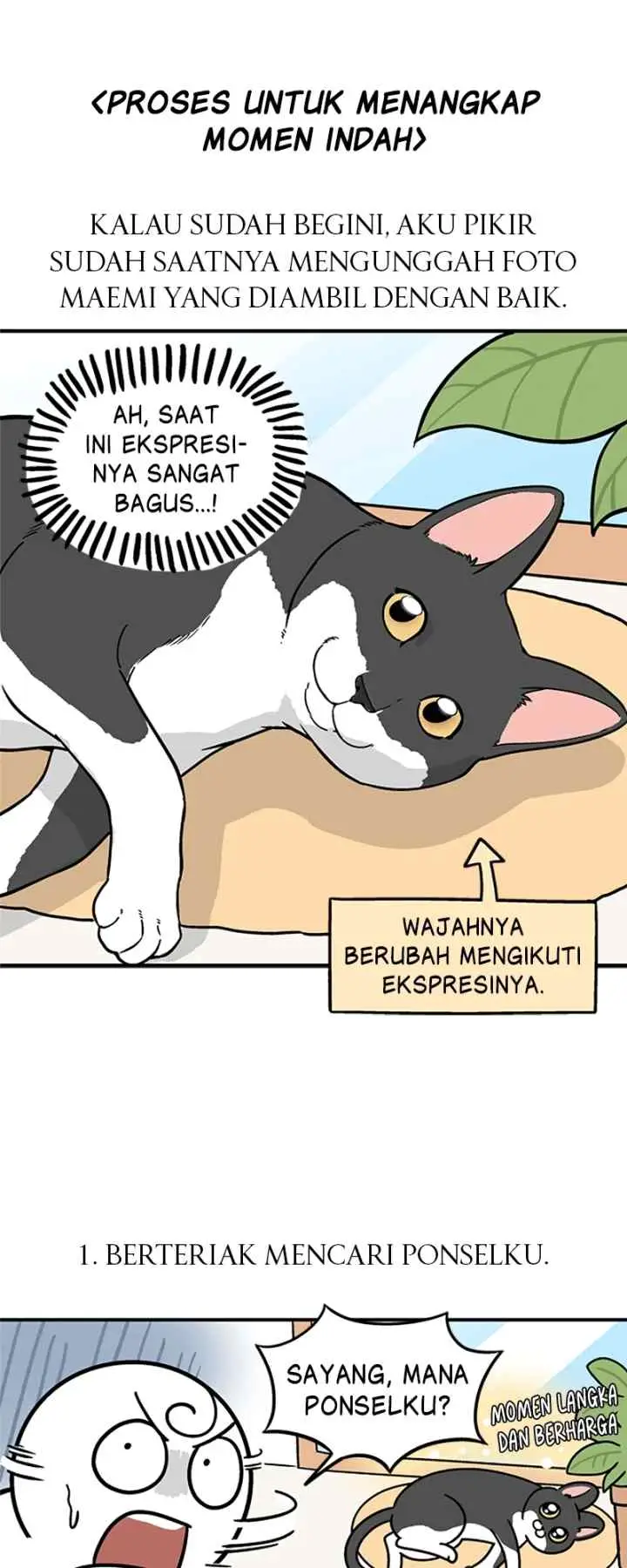 Tired Shorts chapter 5 halaman 9