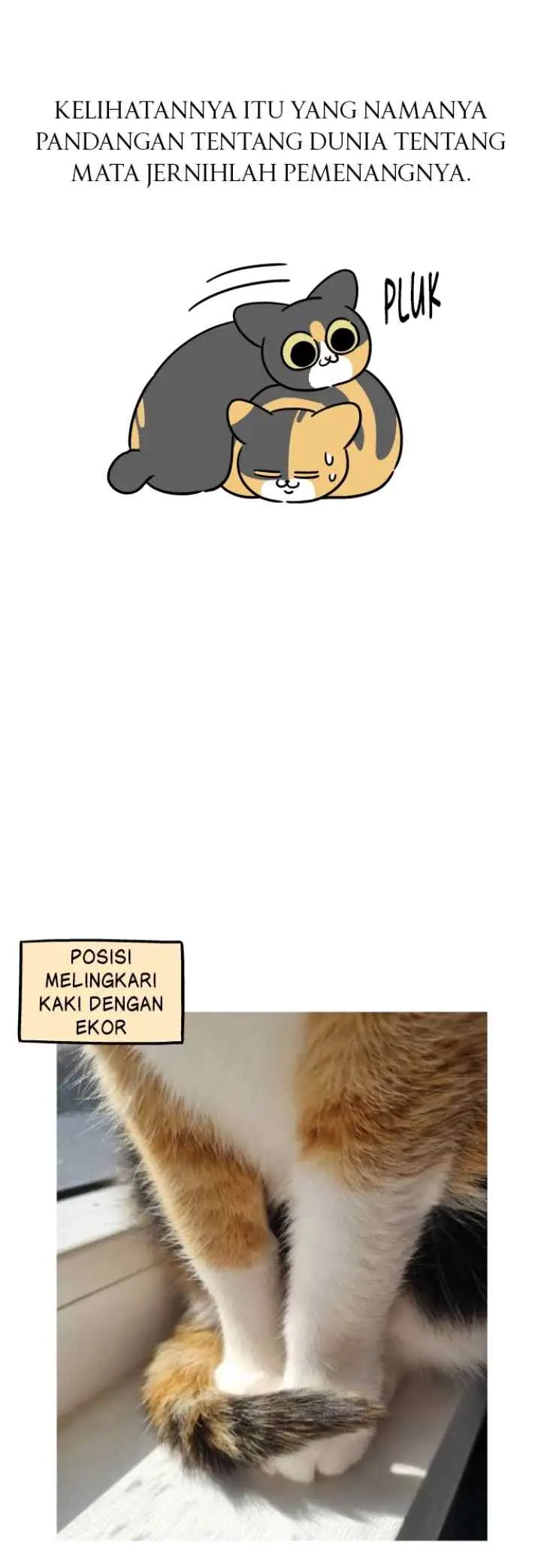 Tired Shorts chapter 28 halaman 11