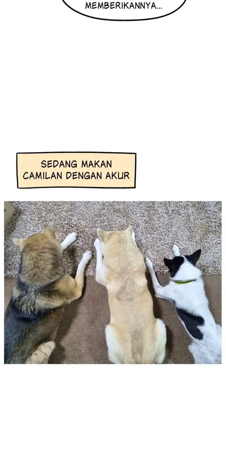 Tired Shorts chapter 15 halaman 15